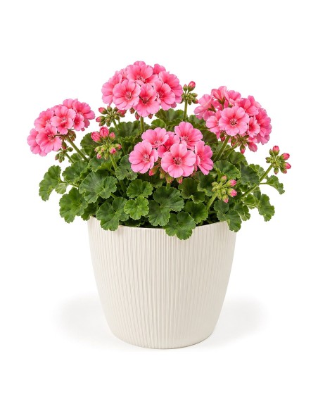 Coprivaso rotondo XL Ø26 × 21 cm rigato, 8,5 L – Crema