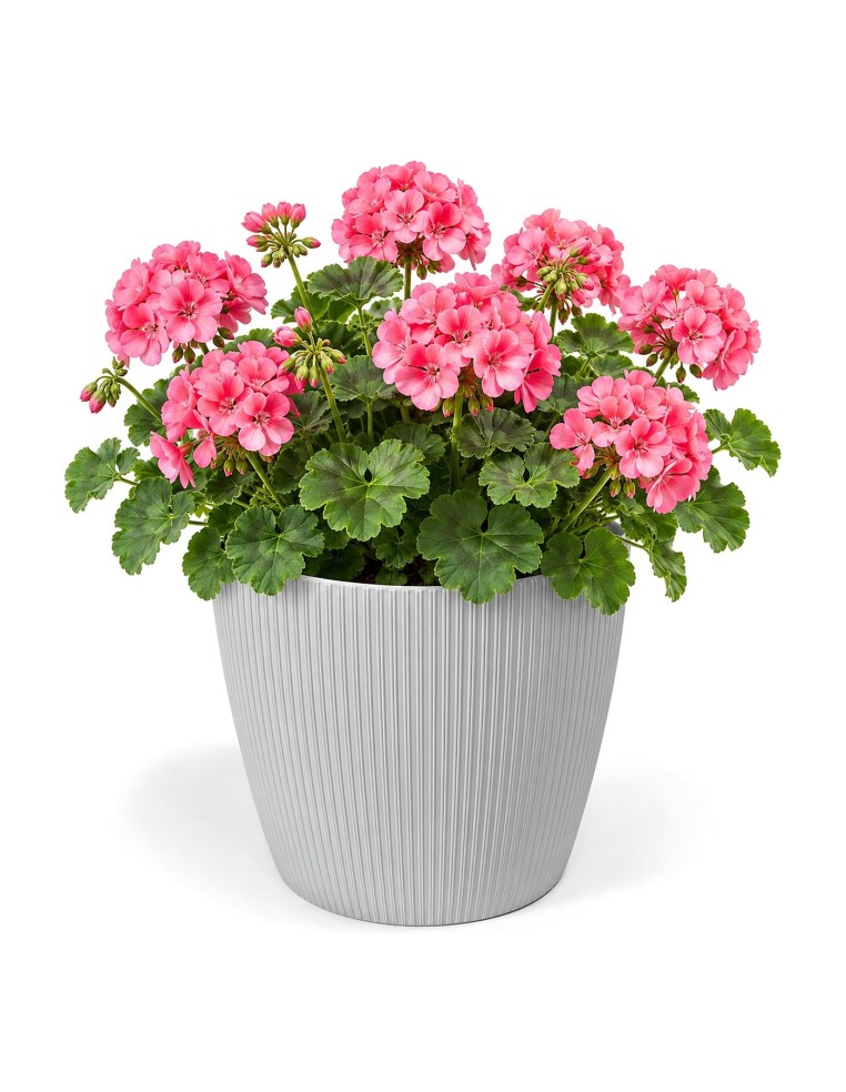 Übertopf rund XL Ø26 × 21 cm Gerillt, 8,5 L – Grau