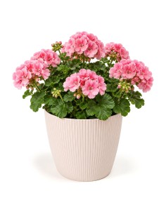 Übertopf rund XL Ø26 × 21 cm Gerillt, 8,5 L – Hellrosa