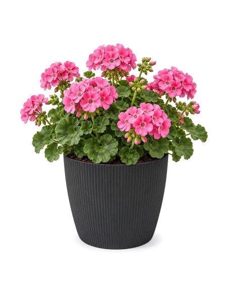 Cache-pot rond XL Ø26 × 21 cm strié, 8,5 L – Noir