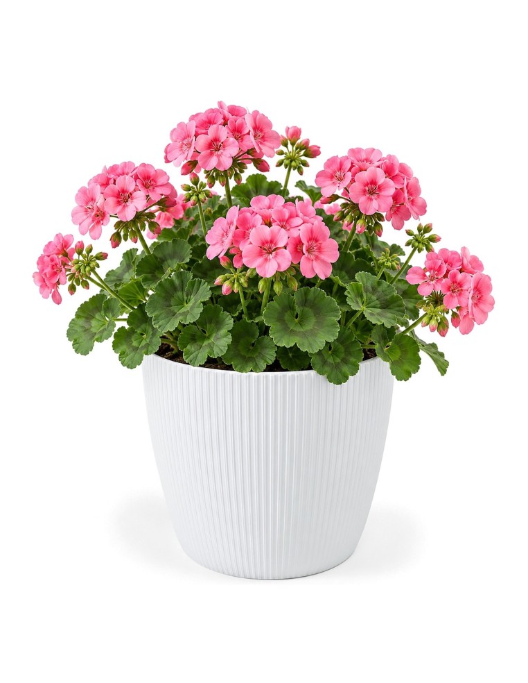Cache-pot rond XL Ø26 × 21 cm strié, 8,5 L – Blanc
