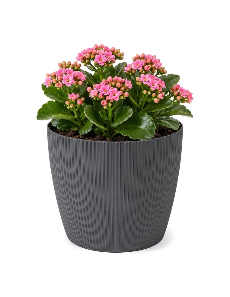 Übertopf rund XS Ø14 × 11 cm Gerillt, 1,3 L – Anthrazit