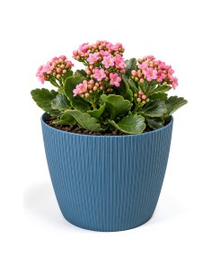 Cache-pot rond XS Ø14 × 11 cm strié, 1,3 L – Bleu