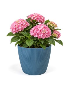 Übertopf rund XXL Ø30 × 25 cm Gerillt, 15,6 L – Blau