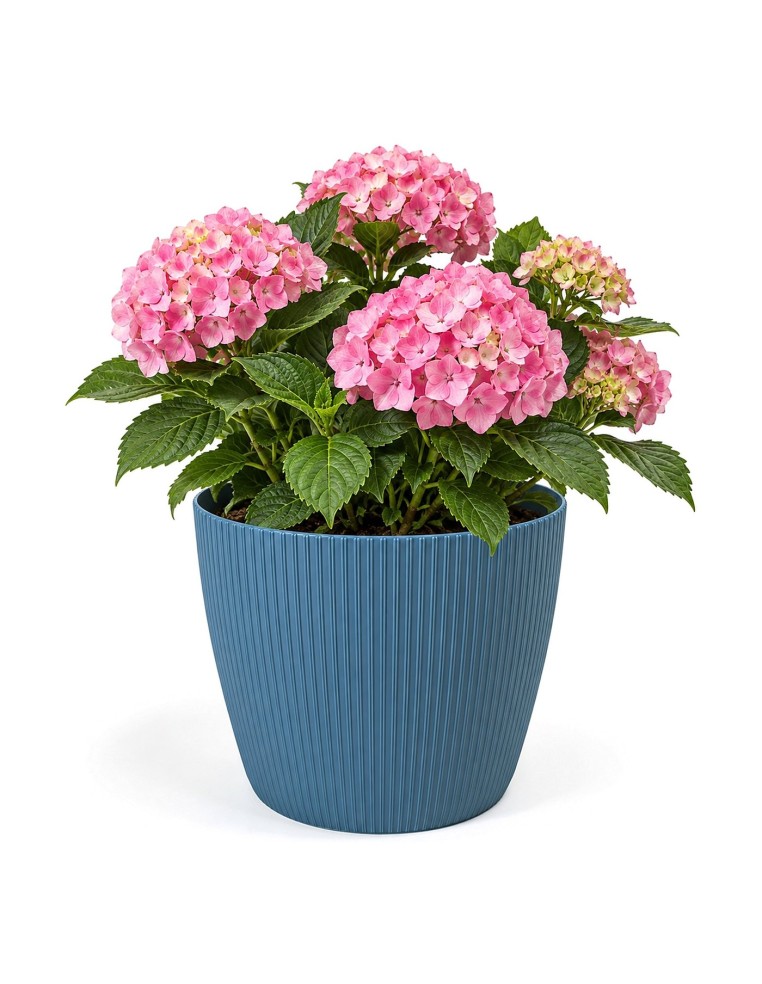 Sierpot rond XXL Ø30 × 25 cm geribbeld, 15,6 L – Blauw