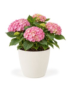 Cache-pot rond XXL Ø30 × 25 cm strié, 15,6 L – Crème