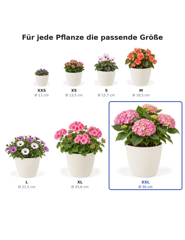 Coprivaso rotondo XXL Ø30 × 25 cm rigato, 15,6 L – Crema
