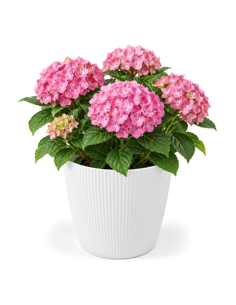 Cubremacetas redondo XXL Ø30 × 25 cm estriado, 15,6 L – Blanco