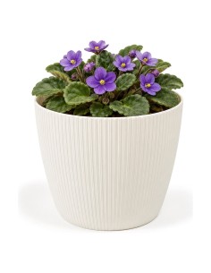 Cache-pot rond Ø11 × 8 cm strié, 0,5 L – Crème
