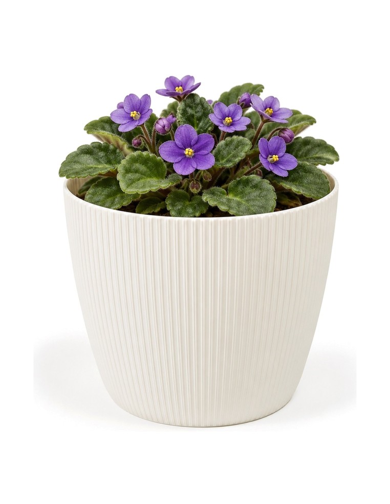 Cubremacetas redondo Ø11 × 8 cm estriado, 0,5 L – Crema