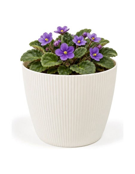 Cubremacetas redondo Ø11 × 8 cm estriado, 0,5 L – Crema