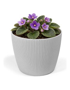Cubremacetas redondo Ø11 × 9 cm estriado, 0,5 L – Gris