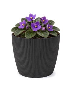 Sierpot rond Ø11 × 8 cm geribbeld, 0,5 L – Zwart