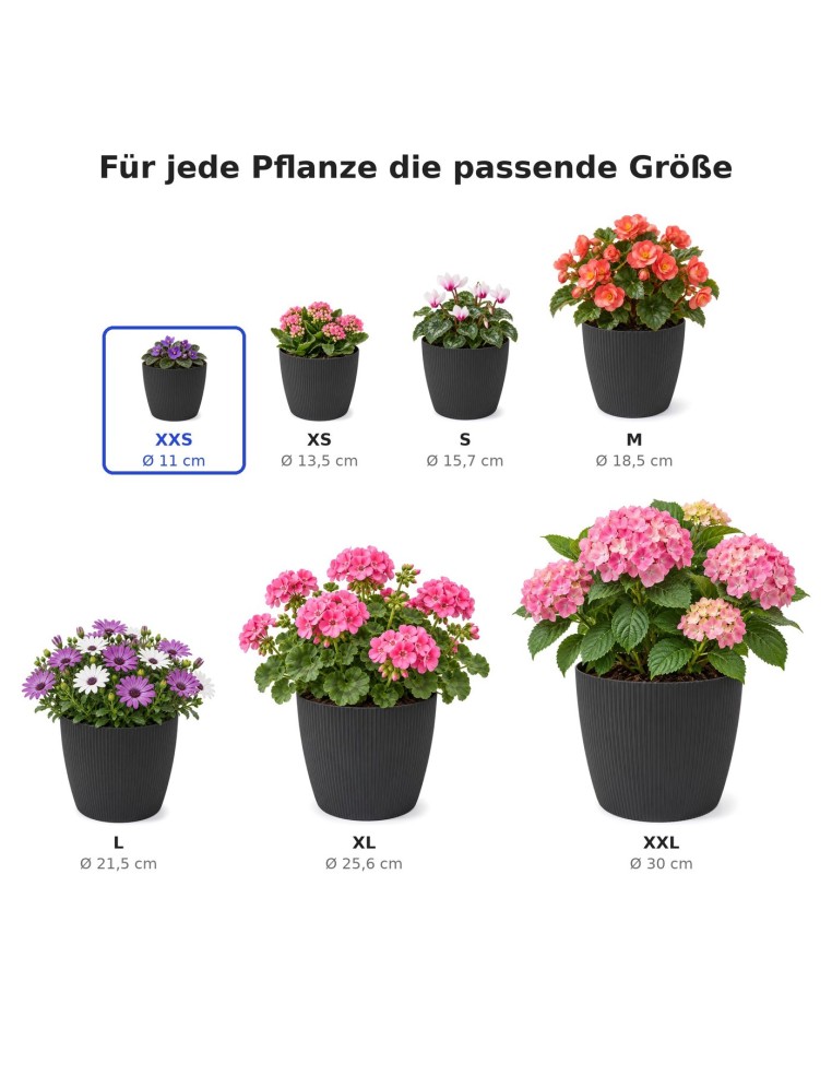 Cubremacetas redondo Ø11 × 8 cm estriado, 0,5 L – Negro