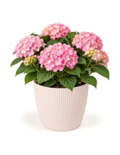 Übertopf rund XXL Ø30 × 25 cm Gerillt, 15,6 L – Hellrosa