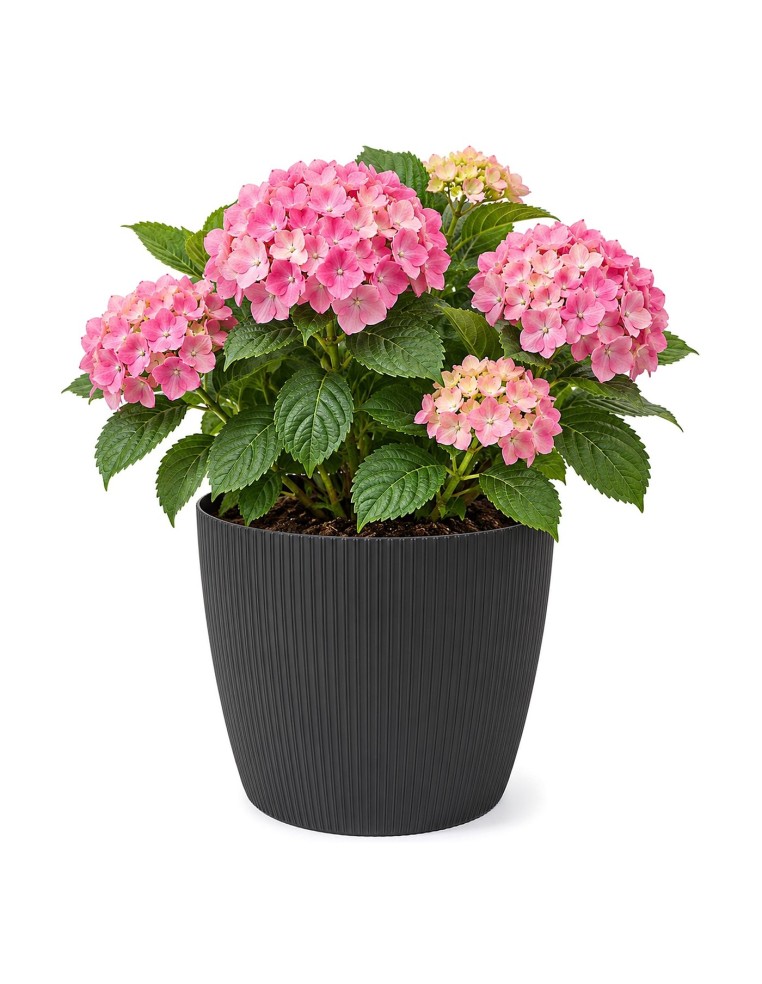 Cubremacetas redondo XXL Ø30 × 25 cm estriado, 15,6 L – Negro