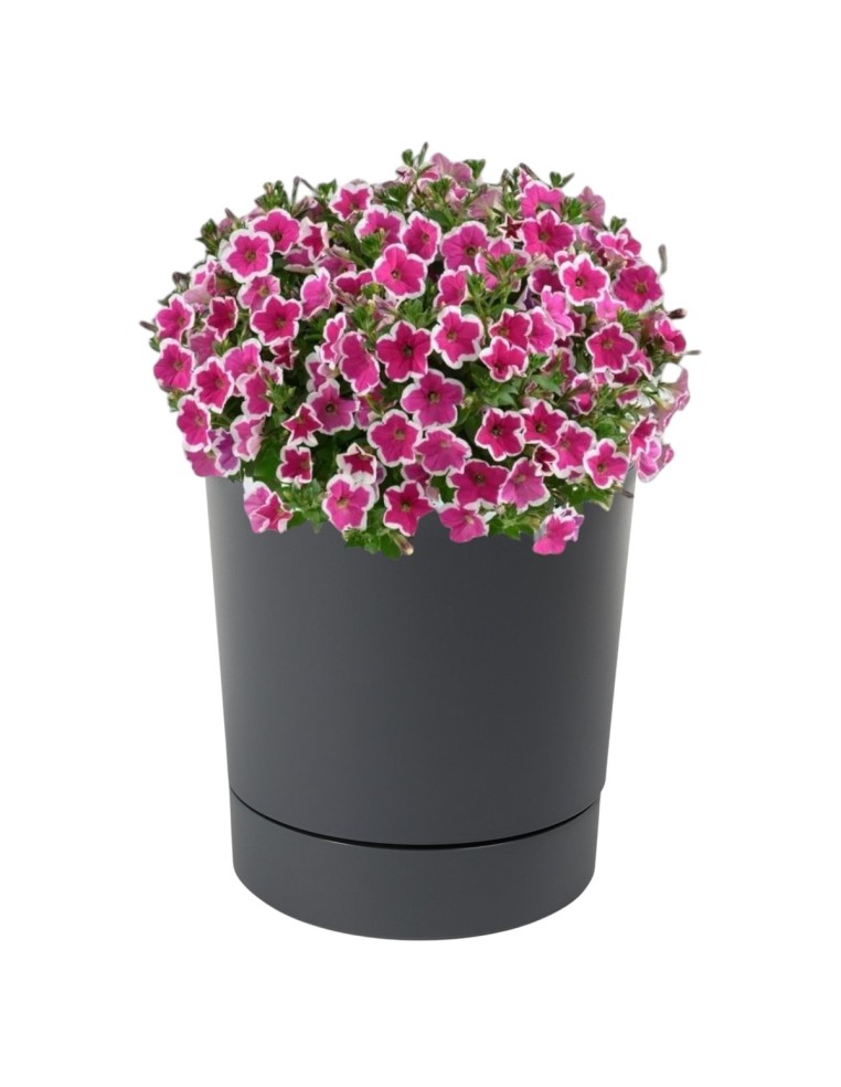 Cache-pot rond Ø23 × 24 cm mat, 7 L – Anthracite | Töpferkönig
