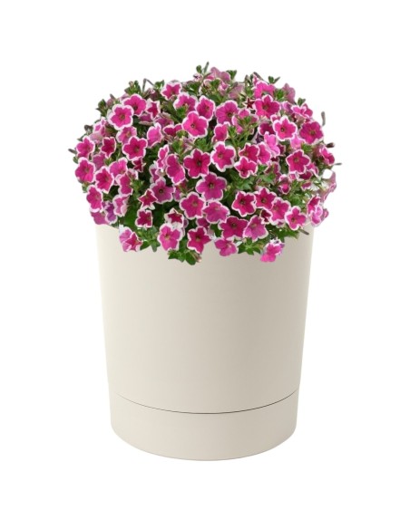Sierpot rond Ø20 × 21 cm mat, 4,7 L – Katoenwit | Töpferkönig