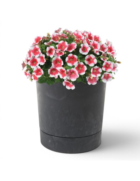 Übertopf rund Ø23 × 24 cm Beton-Optik, 7 L – Beton Schwarz | Töpferkönig