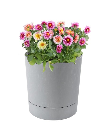 Coprivaso rotondo Ø15 × 15 cm effetto cemento, 1,8 L – Grigio cemento | Töpferkönig
