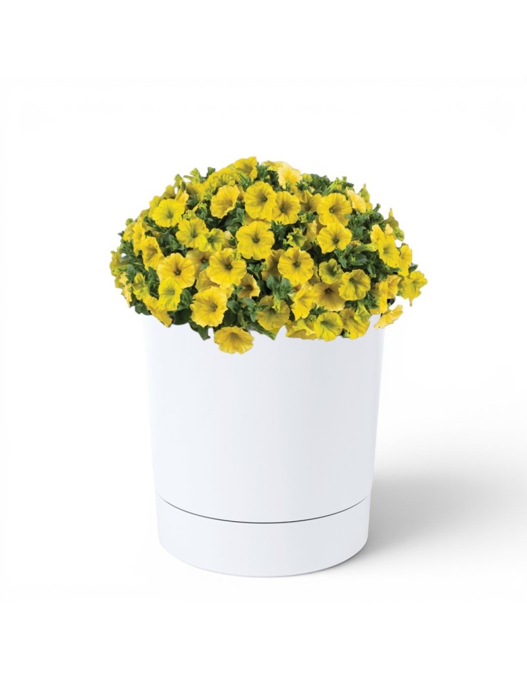 Sierpot rond Ø13 × 13 cm mat, 1,1 L – Wit | Töpferkönig