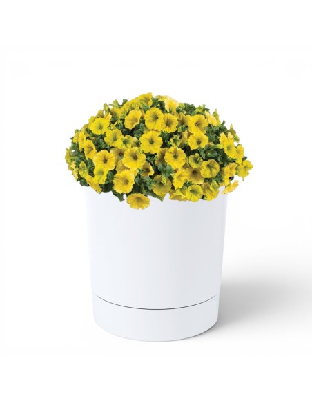 Cache-pot rond Ø15 × 15 cm mat, 1,8 L – Blanc | Töpferkönig