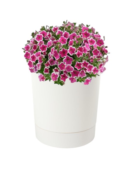 Übertopf rund Ø13 × 13 cm Matt, 1,1 L – Creme | Töpferkönig
