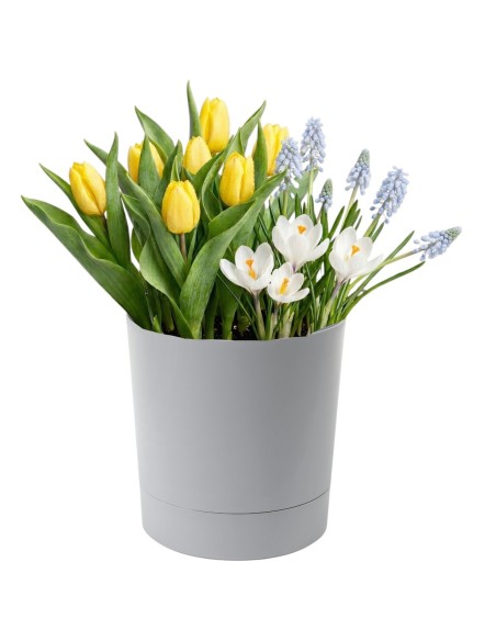 Sierpot rond Ø33 × 34 cm mat, 20 L – Grijs | Töpferkönig