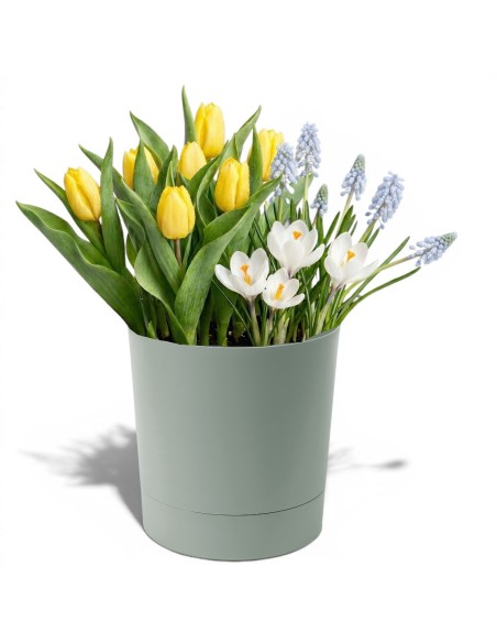 Cache-pot rond Ø38 × 40 cm mat, 33 L – Vert | Töpferkönig