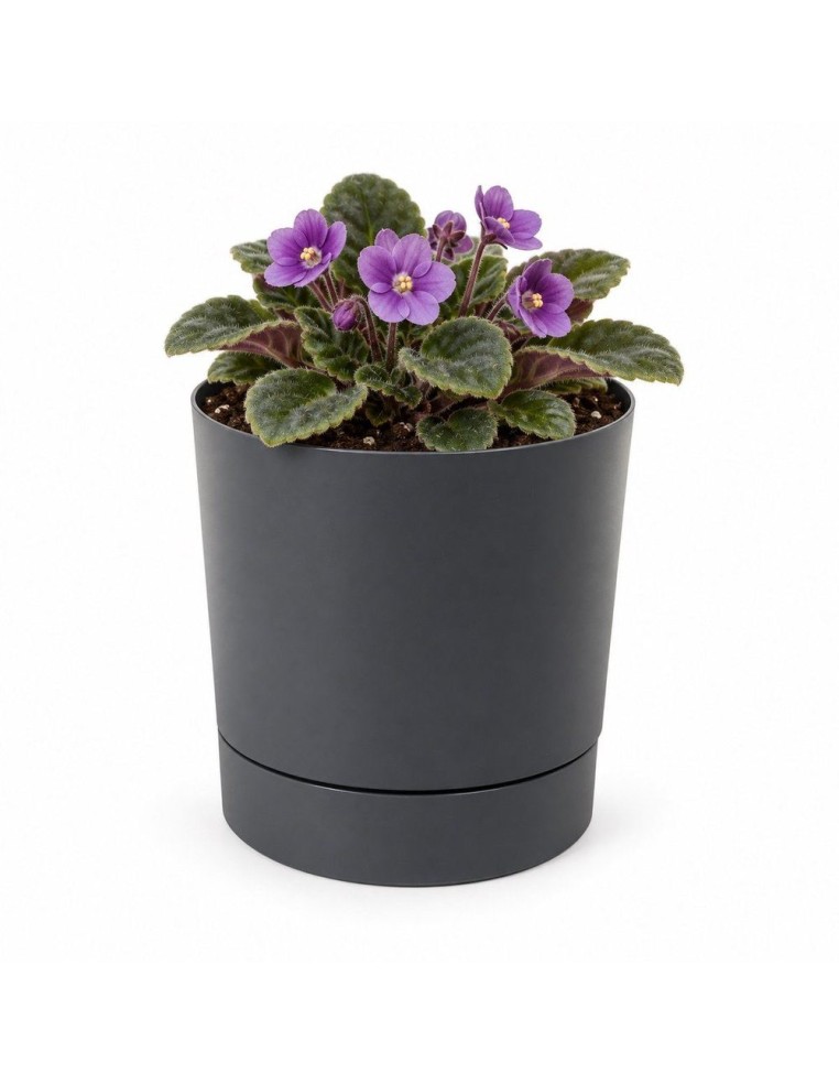 Sierpot rond Ø11 × 12 cm mat, 0,7 L – Antraciet | Töpferkönig
