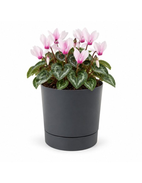 Cache-pot rond Ø15 × 15 cm mat, 1,8 L – Anthracite | Töpferkönig