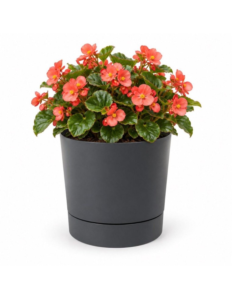 Coprivaso rotondo Ø18 × 19 cm opaco, 2,5 L – Antracite | Töpferkönig