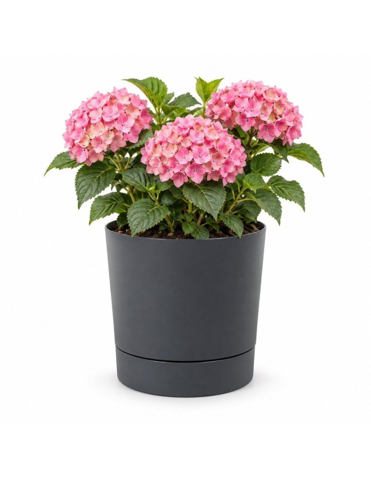 Übertopf rund Ø33 × 34 cm Matt, 20 L – Anthrazit | Töpferkönig