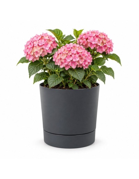 Sierpot rond Ø33 × 34 cm mat, 20 L – Antraciet | Töpferkönig