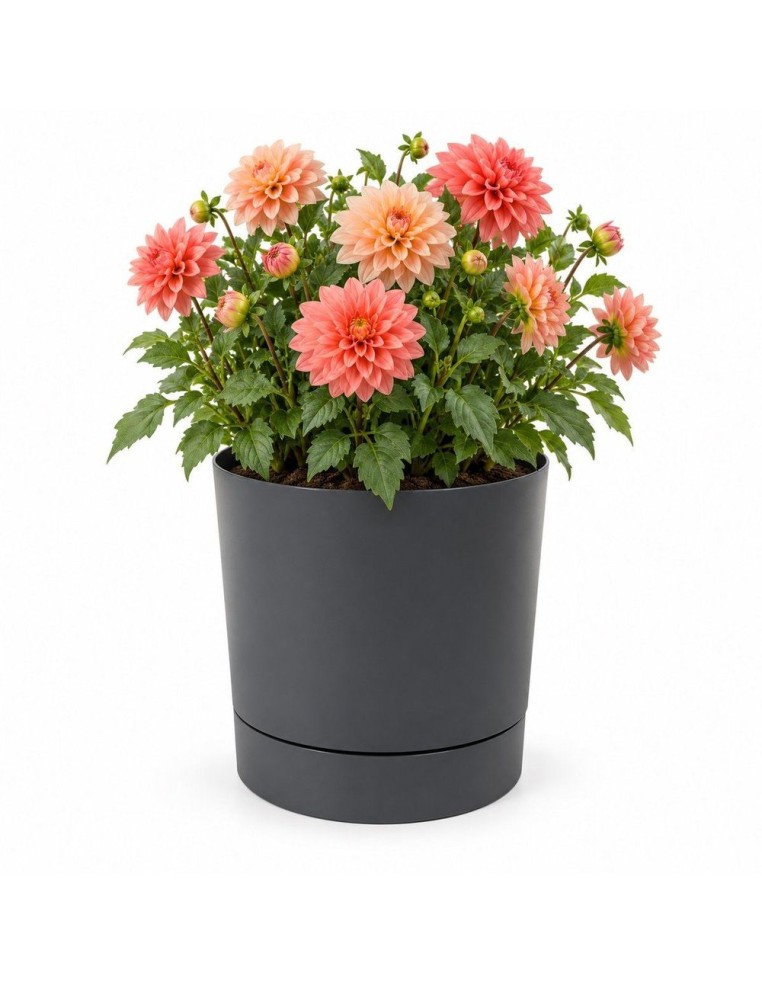 Coprivaso rotondo Ø35 × 37 cm opaco, 25 L – Antracite | Töpferkönig