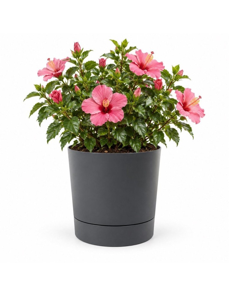 Cache-pot rond Ø38 × 40 cm mat, 33 L – Anthracite | Töpferkönig