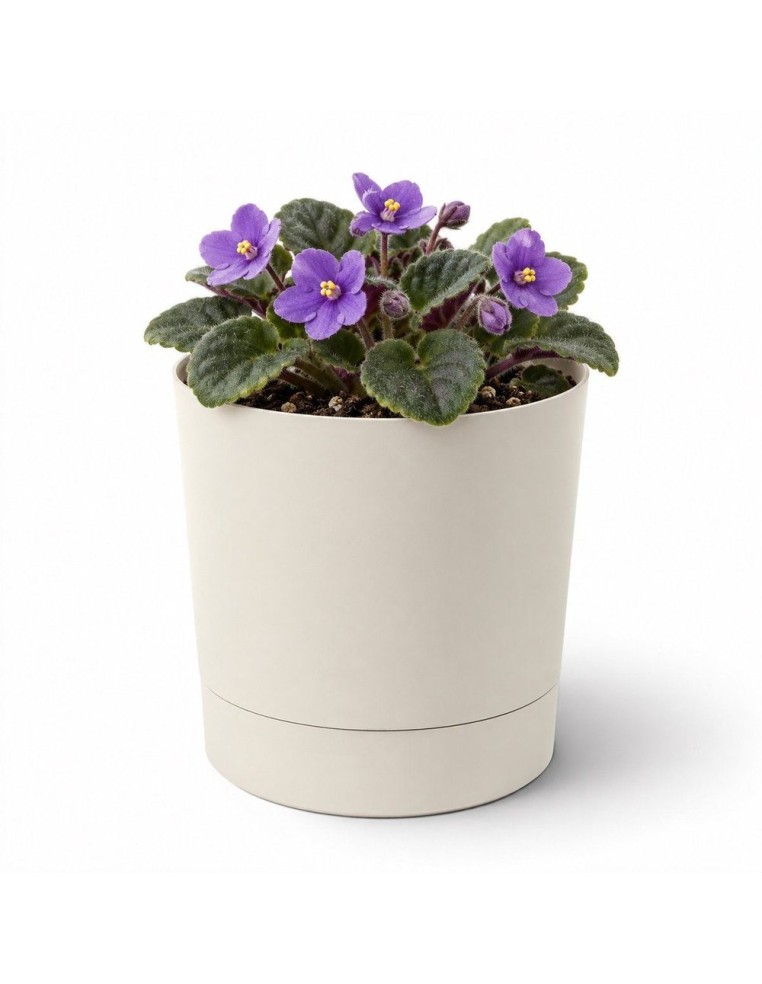 Übertopf rund Ø11 × 12 cm Matt, 0,7 L – Baumwolle | Töpferkönig