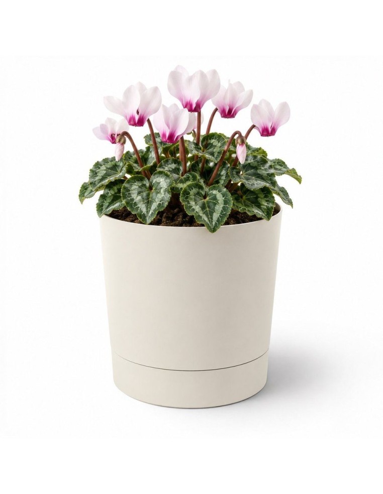 Cache-pot rond Ø15 × 15 cm mat, 1,8 L – Coton | Töpferkönig