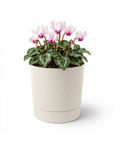 Übertopf rund Ø15 × 15 cm Matt, 1,8 L – Baumwolle | Töpferkönig