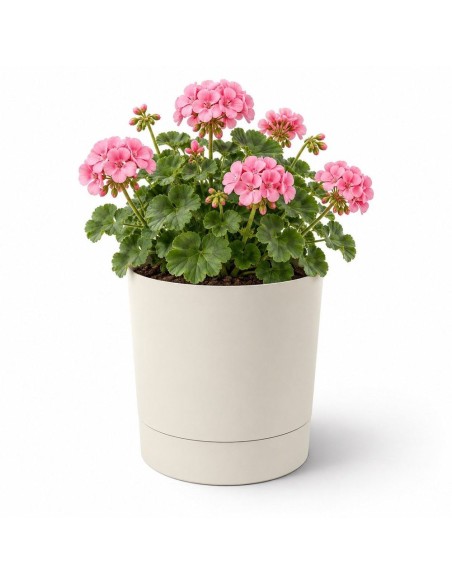 Übertopf rund Ø23 × 24 cm Matt, 7 L – Baumwolle | Töpferkönig
