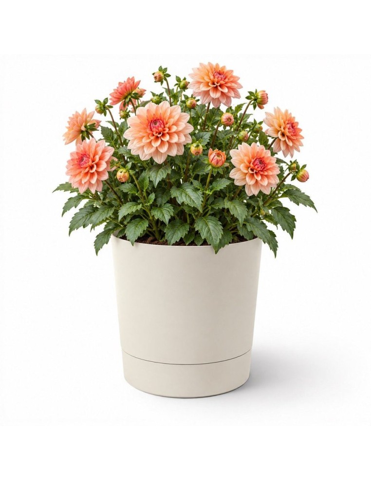 Sierpot rond Ø35 × 37 cm mat, 25 L – Katoenwit | Töpferkönig