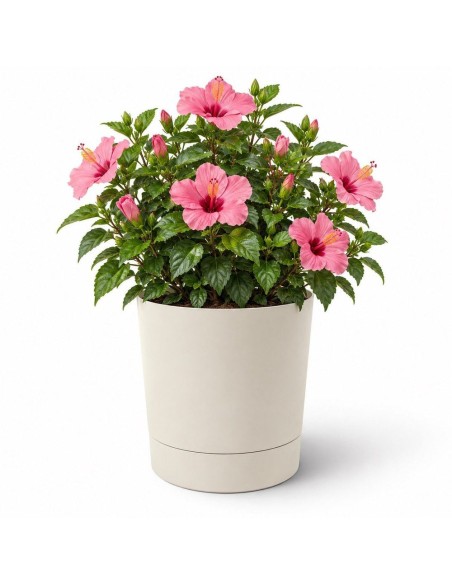 Cubremacetas redondo Ø38 × 40 cm mate, 33 L – Blanco algodón | Töpferkönig