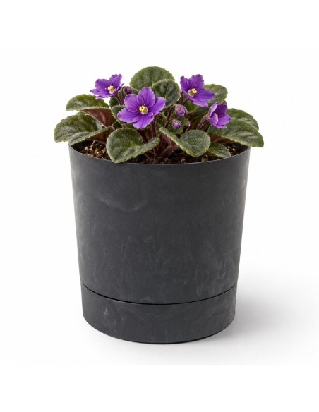 Übertopf rund Ø11 × 12 cm Beton-Optik, 0,7 L – Beton Schwarz | Töpferkönig
