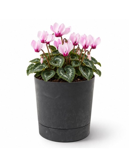 Cubremacetas redondo Ø15 × 15 cm efecto hormigón, 1,8 L – Negro hormigón | Töpferkönig