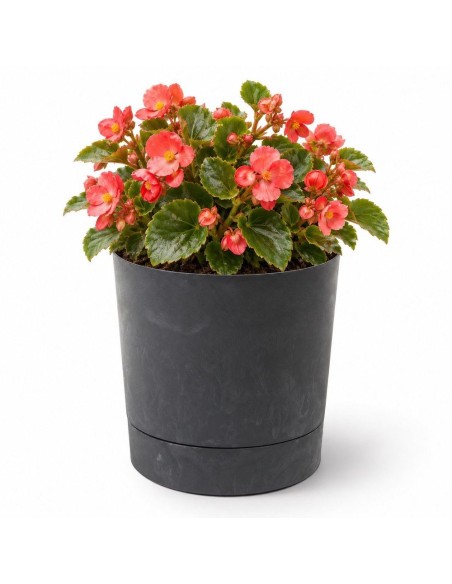 Cache-pot rond Ø18 × 19 cm aspect béton, 2,5 L – Béton noir | Töpferkönig