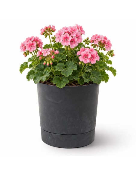 Sierpot rond Ø23 × 24 cm betonlook, 7 L – Betonzwart | Töpferkönig