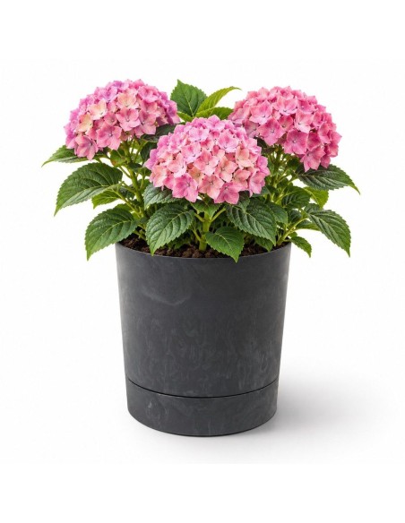 Sierpot rond Ø33 × 34 cm betonlook, 20 L – Betonzwart | Töpferkönig
