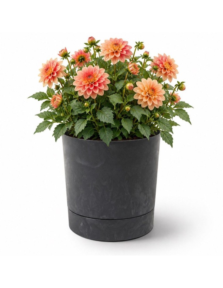 Cubremacetas redondo Ø35 × 37 cm efecto hormigón, 25 L – Negro hormigón | Töpferkönig