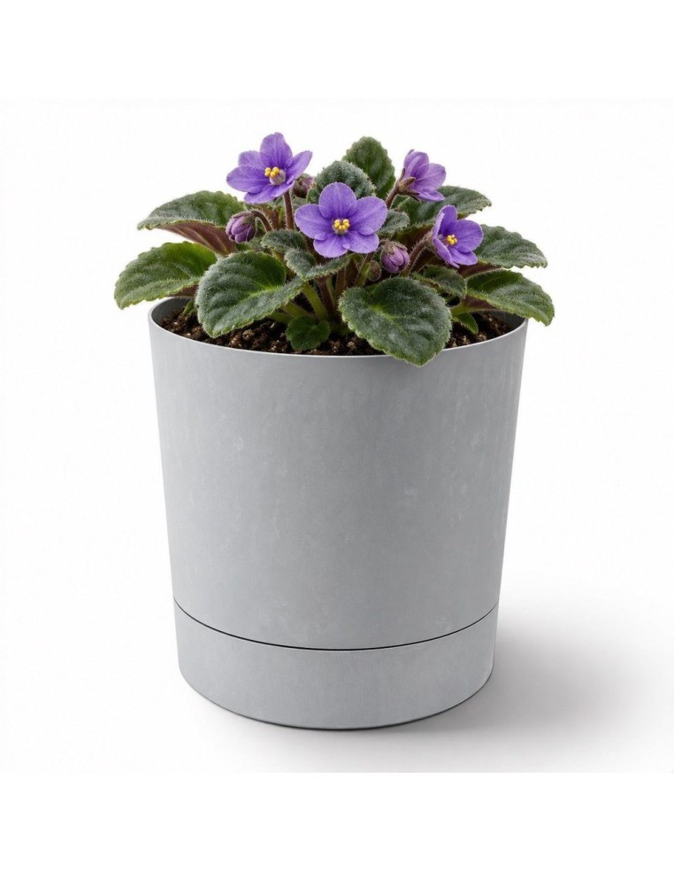 Coprivaso rotondo Ø11 × 12 cm effetto cemento, 0,7 L – Grigio cemento | Töpferkönig
