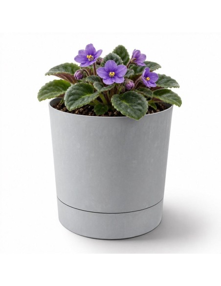Coprivaso rotondo Ø11 × 12 cm effetto cemento, 0,7 L – Grigio cemento | Töpferkönig